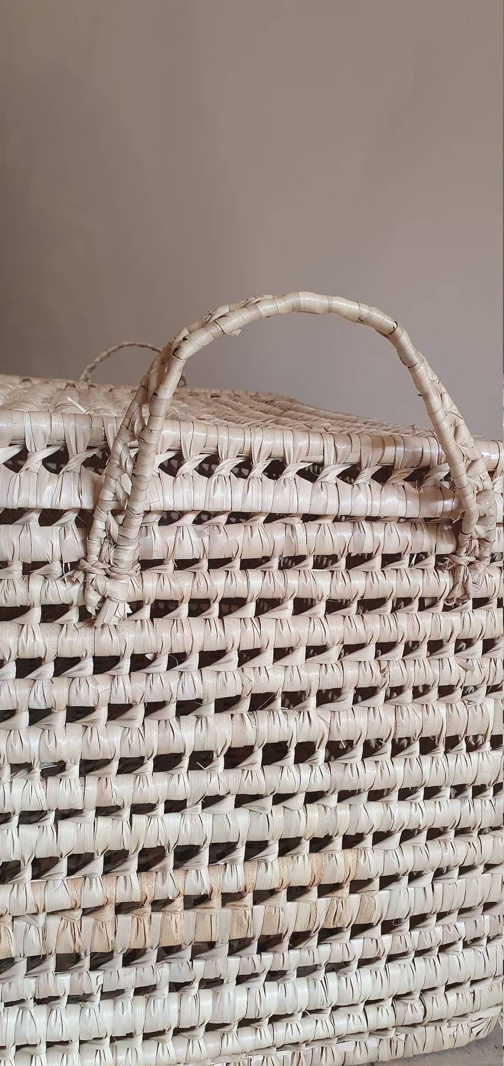 Wicker Storage Trunk Woven Beige