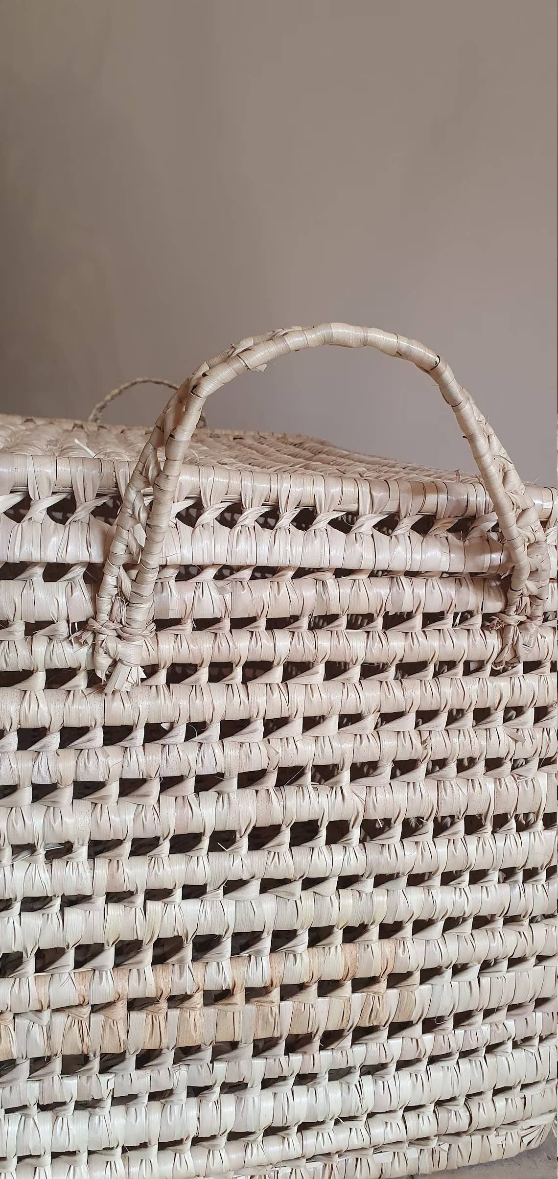 Wicker Storage Trunk Woven Beige
