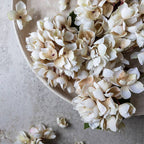 Faux Blush Cream Hydrangea