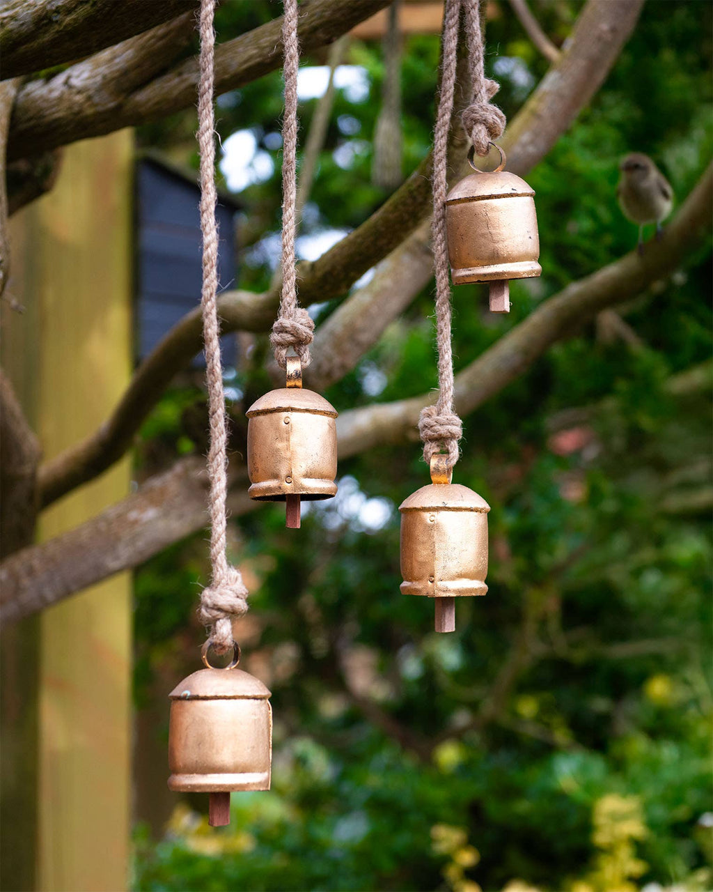 Gold bells hanging from ropes against a natural background with greenery
