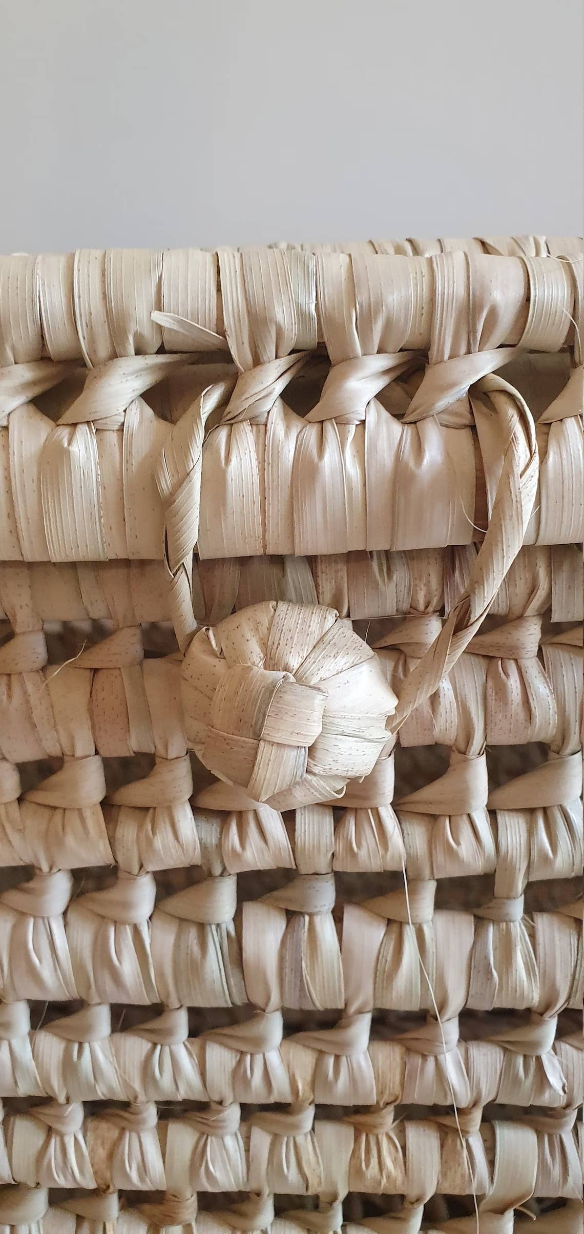 Wicker Storage Trunk Woven Beige