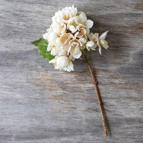 Faux Blush Cream Hydrangea
