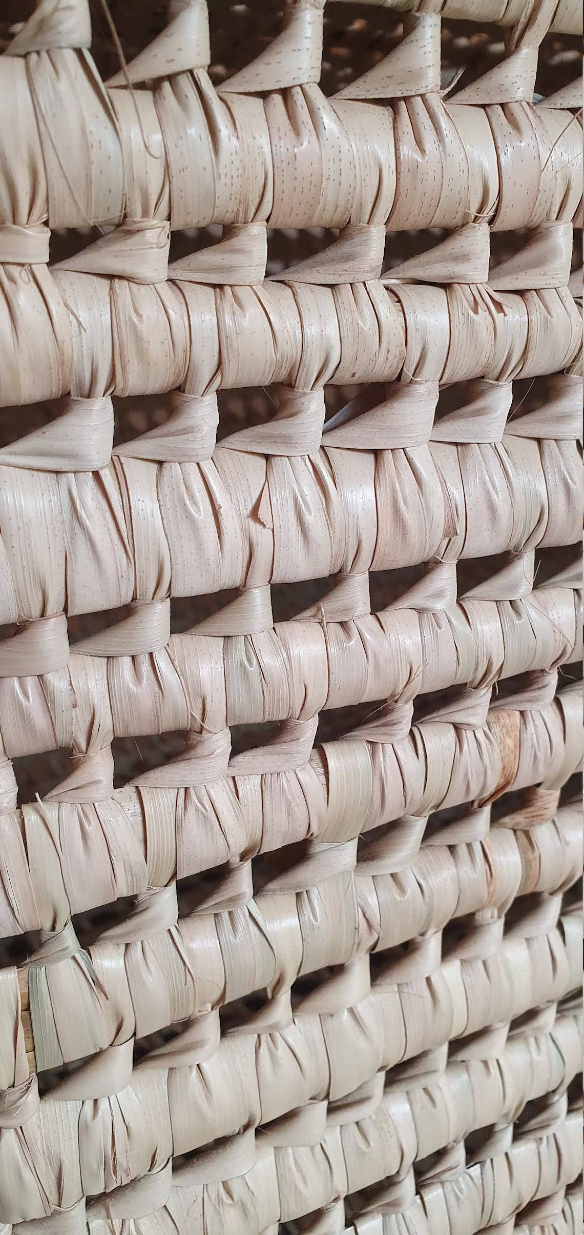 Wicker Storage Trunk Woven Beige