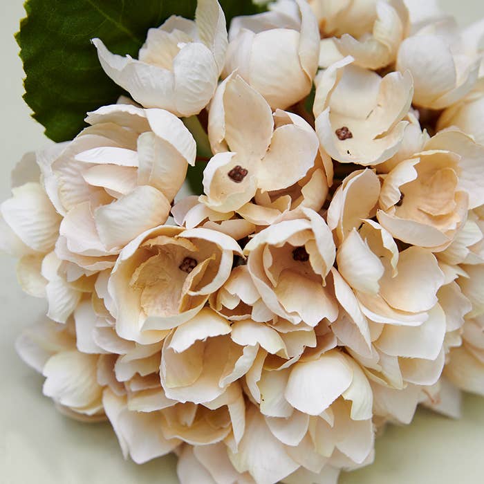 Faux Blush Cream Hydrangea