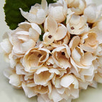 Faux Blush Cream Hydrangea