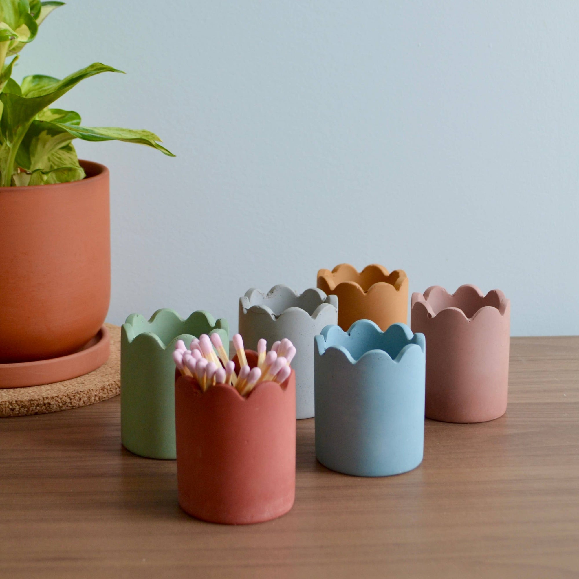 Scallop Match Pot | Match Striker