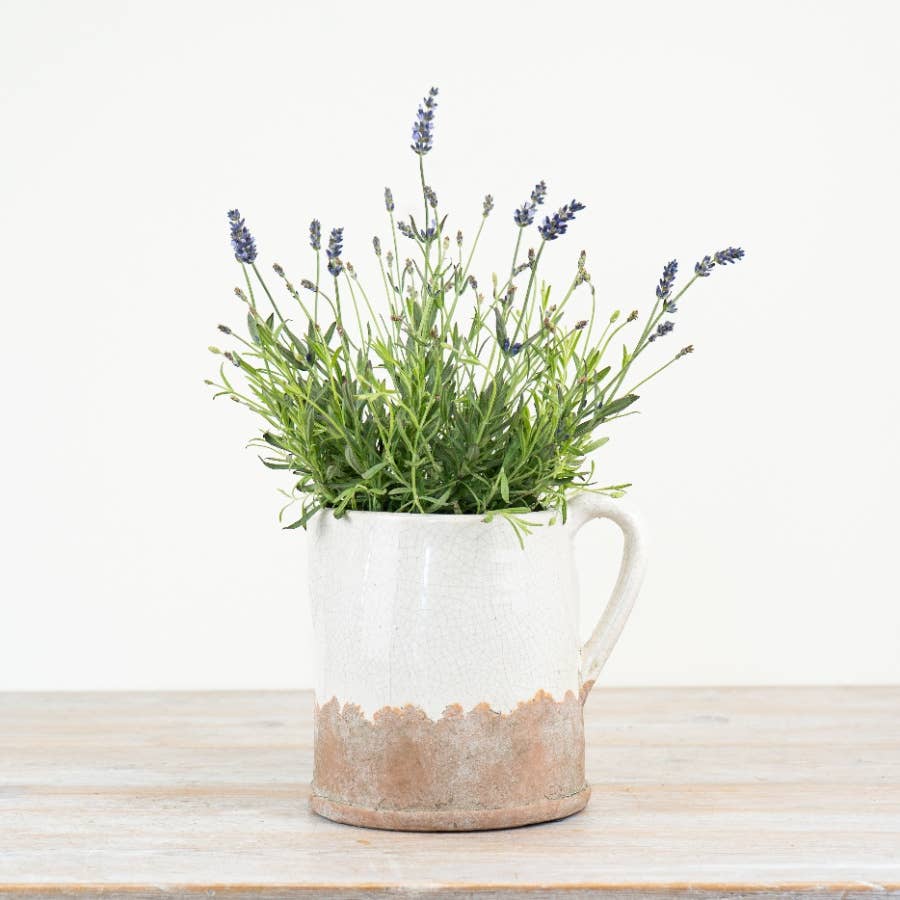 Ceramic Jug White and Terracotta